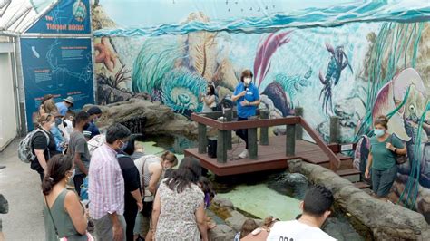 cabrillo marine aquarium tickets